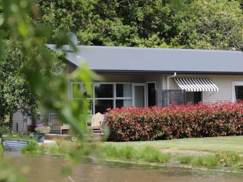 Revive On Oakview Boutique Beauty And Accommodation Ashburton Luaran gambar